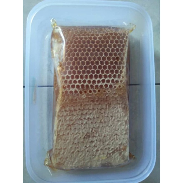 

Madu Sarang Original