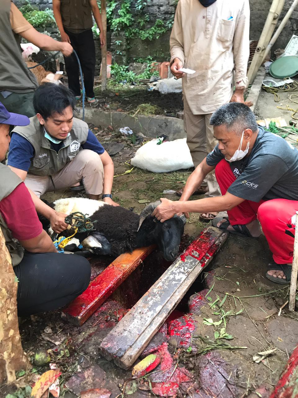 Sabun Pembersih Lantai Attar 5 Liter / Cairan Pel / Floor Cleaner / Sabun Lantai 5 Liter