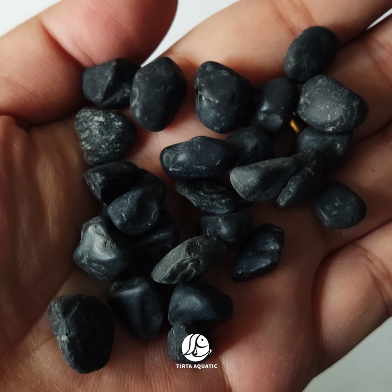 Batu Hiasan Akuarium | Batu Sikat Hias Akuarium Aquascape