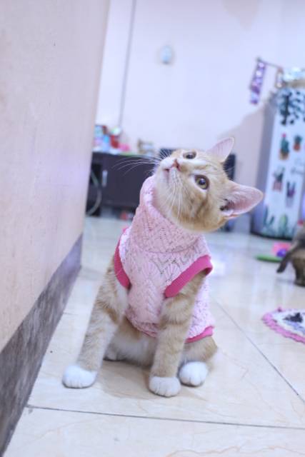 Baju rajut ala korea warna pink untuk kucing dan anjing / baju kucing murah size S M L XL