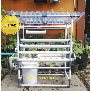 Instalasi Hidroponik DFT 36R dengan Atap Plastik Gelombang Siap Pakai Tritani Agri