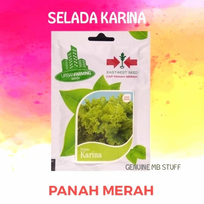 Benih Bibit Selada Karina Panah Merah Urban Farming 4000 seeds