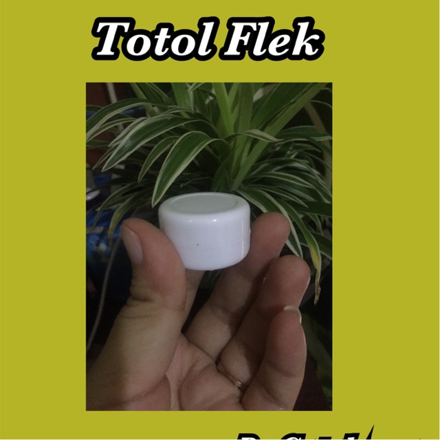 Totol flek