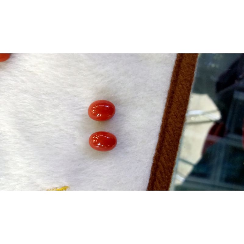 BATU MARJAN laut merah Mesir