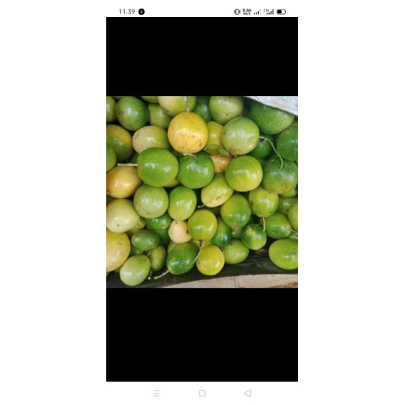 

buah markisa segar 1 kg