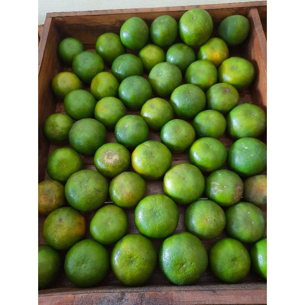 

Jeruk Madu Batu 500 gram