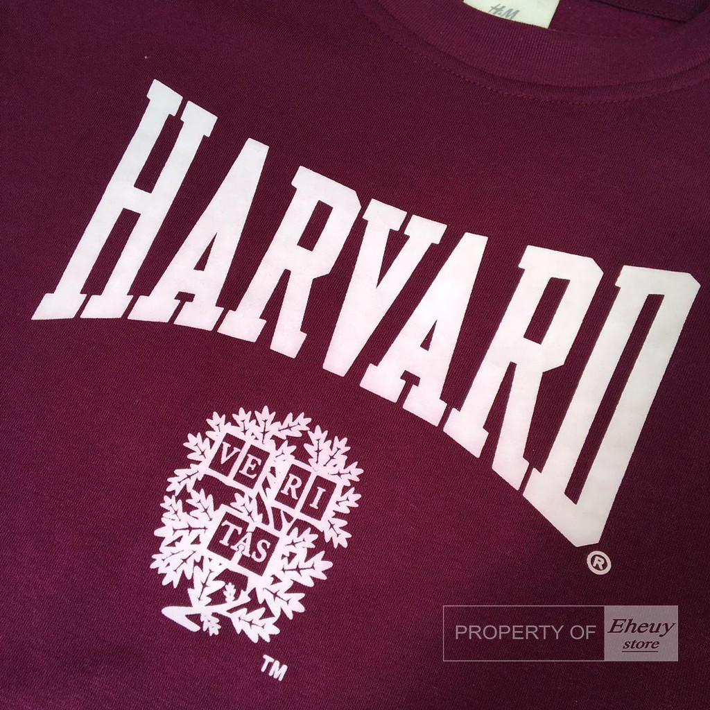 Crewneck H&amp;M Harvard Nothing to do Mighty mouse Michigan Sweater H&amp;M original crewneck h&amp;m terlaris