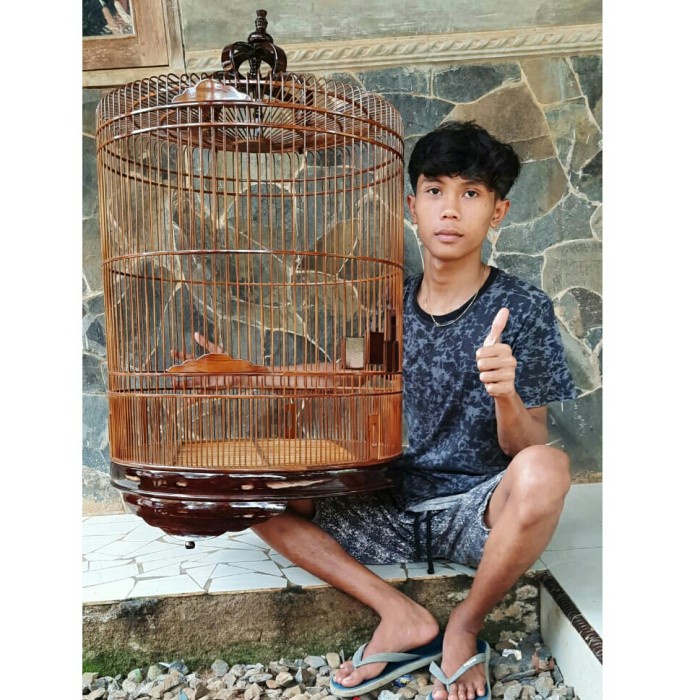 sangkar burung murai batu no 2