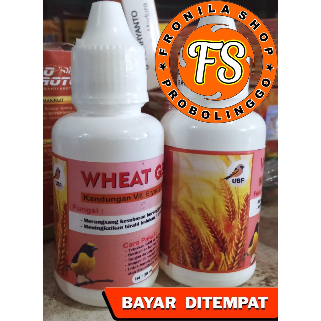 WGO Wheat Germ Oil Minyak Vitamin Ternak Burung Breeding lovebird murai baru kenari Macet PLUS PANDU