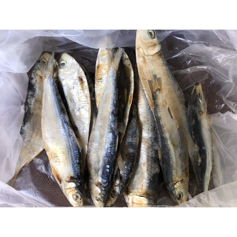 

ikan asin tembang