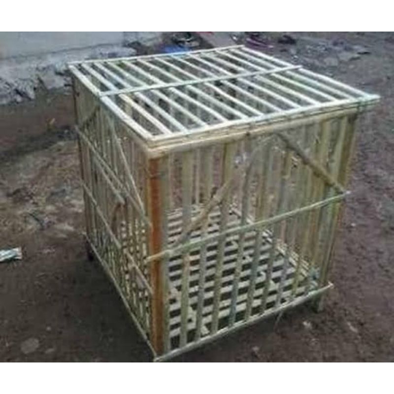 kandang ayam bambu (bongkar/pasang)