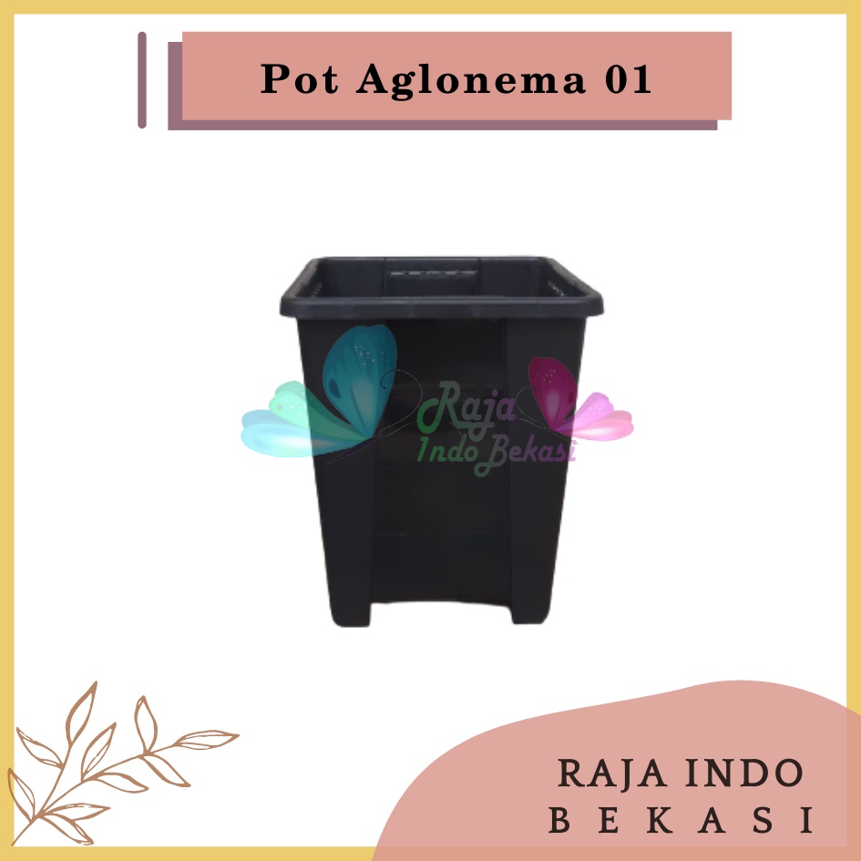 Rajaindobekasi Pot Yogap Kotak 8 10 12 15 Putih Transparan Bening Merah Bata Coklat Terraccota Terakota Orange Pot Segi Empat Hias Pot Yogap 10 13 15 17 18 19 25 30 Pot Yogap Lusinan Pot Kotak Panjang Kecil 8 Cm Tinggi