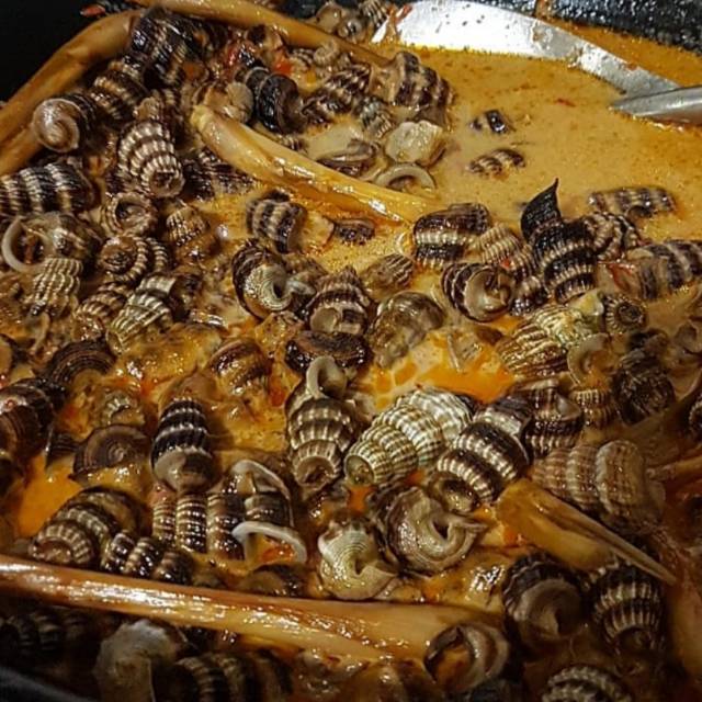 Keong nene/ Keong nenek/ Kolnenek/ Siput sedot/ Tutut/ Katanglo/ Tangkuyung/ Chaulo