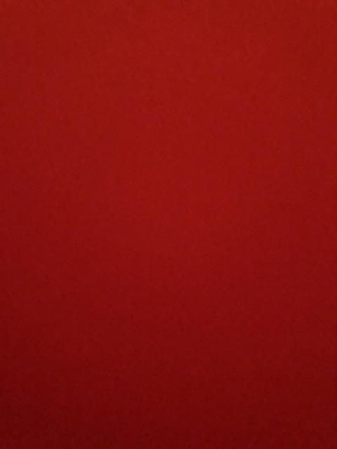 Fong Tien Seed Garland Chrysanthemum-benih Tang O Daun Lebar- 25 Gram