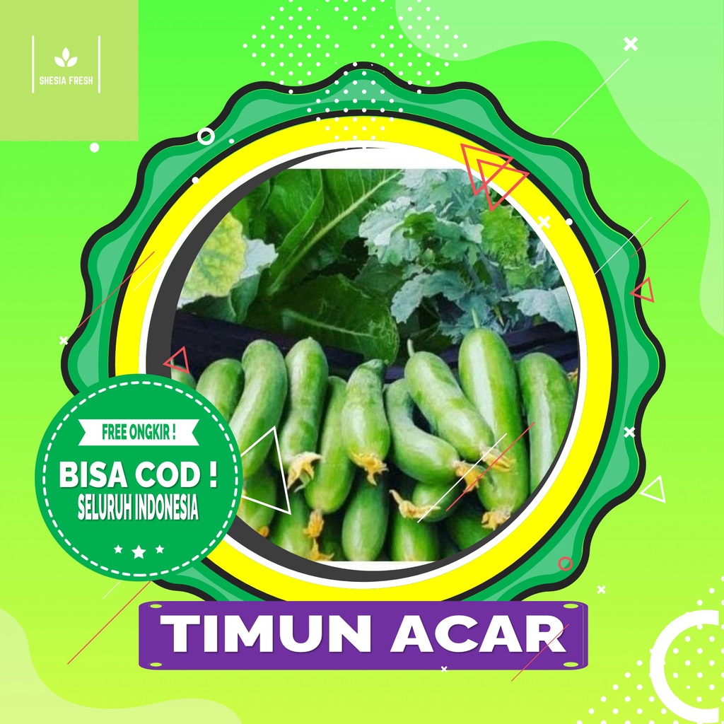 

Shesia Fresh - Timun Acar Organik 250 gram