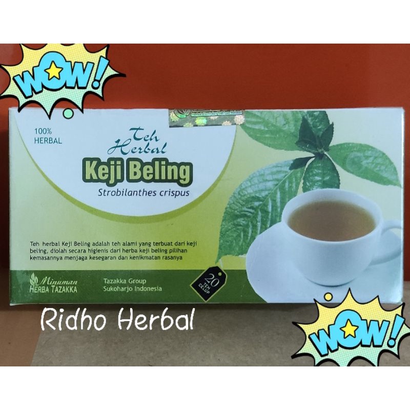 

Teh Herbal Keji Beling Original Mampu Mengobati Batu Ginjal | Teh Herbal Obat Batu Ginjal Original
