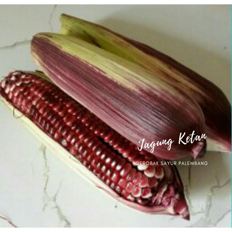 

Jagung Ketan 500 - 1000 gr Gerobak Sayur Palembang