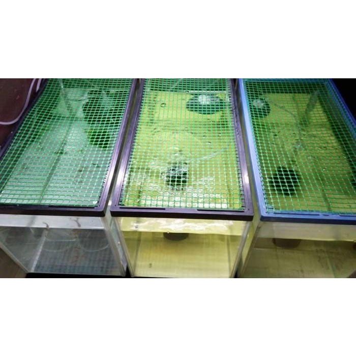 Kawat Mesh grill full plastik warna hijau