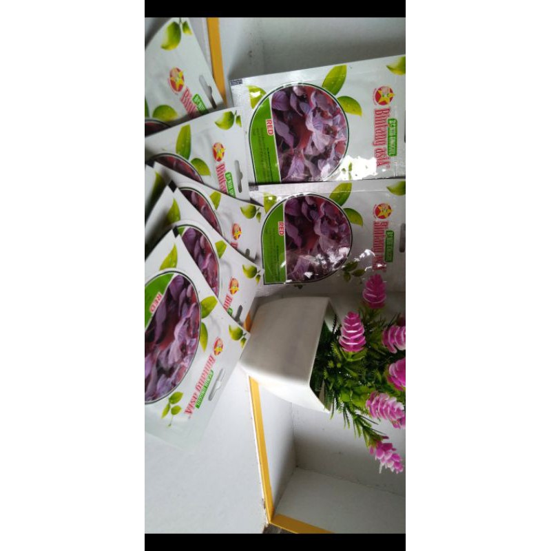 Bibit Bayam Merah/Red /SP Bibit Bintang Asia