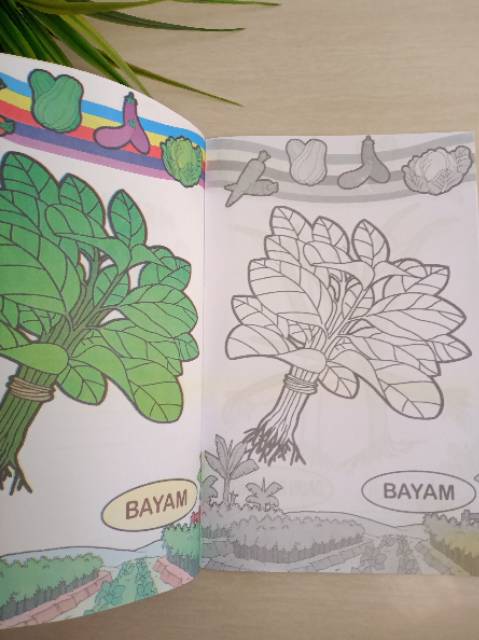 Buku mewarnai sayuran untuk anak TK/paud