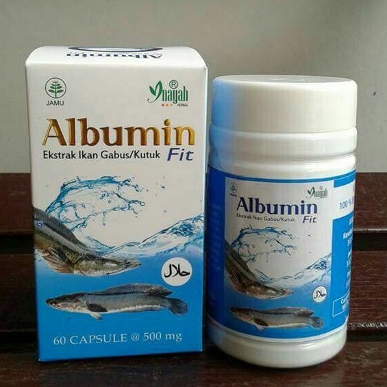 Albumin Fit - Ekstrak Ikan Gabus