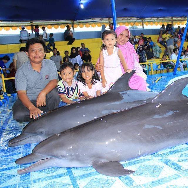 juminijayakfarhandhafina