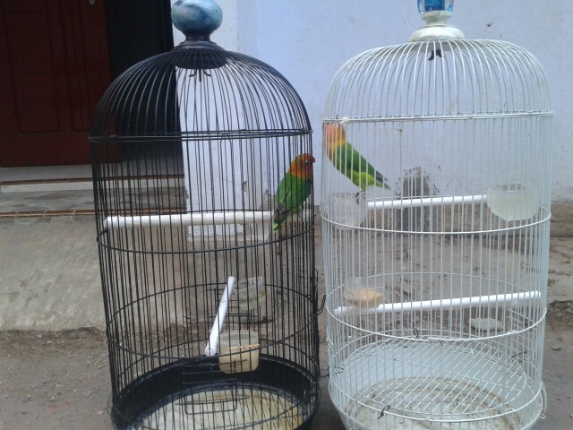 Kemeja Batik Pria Lengan Panjang Size M L Xl Xxl Xxxl