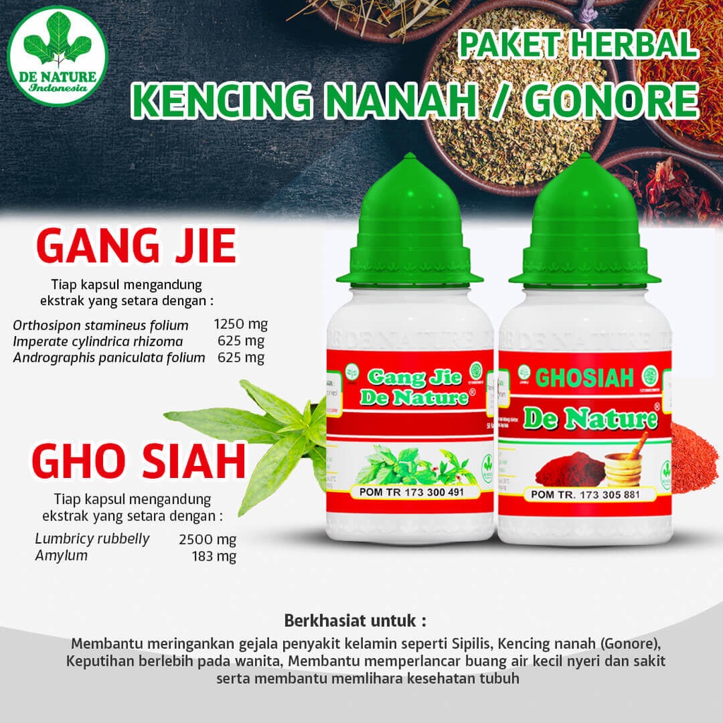 Kapsul Antibiotik Alami Obat Sipilis|Gonore|Kencing Nanah|Raja Singa Gangjie & Ghosiah De Nature