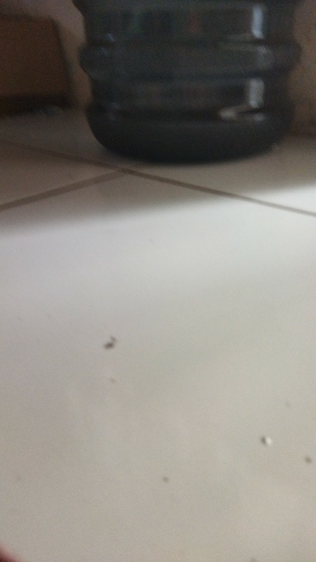 Kantong Plastik Anti Panas/atp Kumala