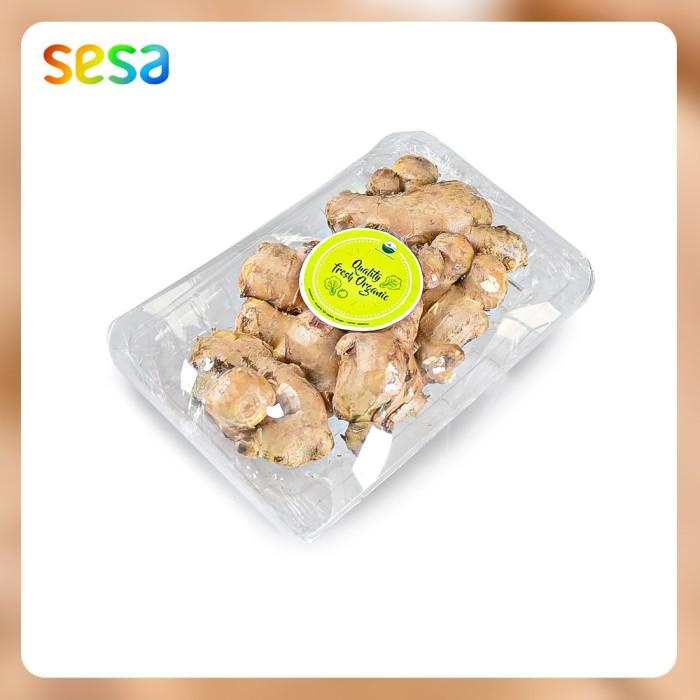 

Jahe Organik /250g Best Seller