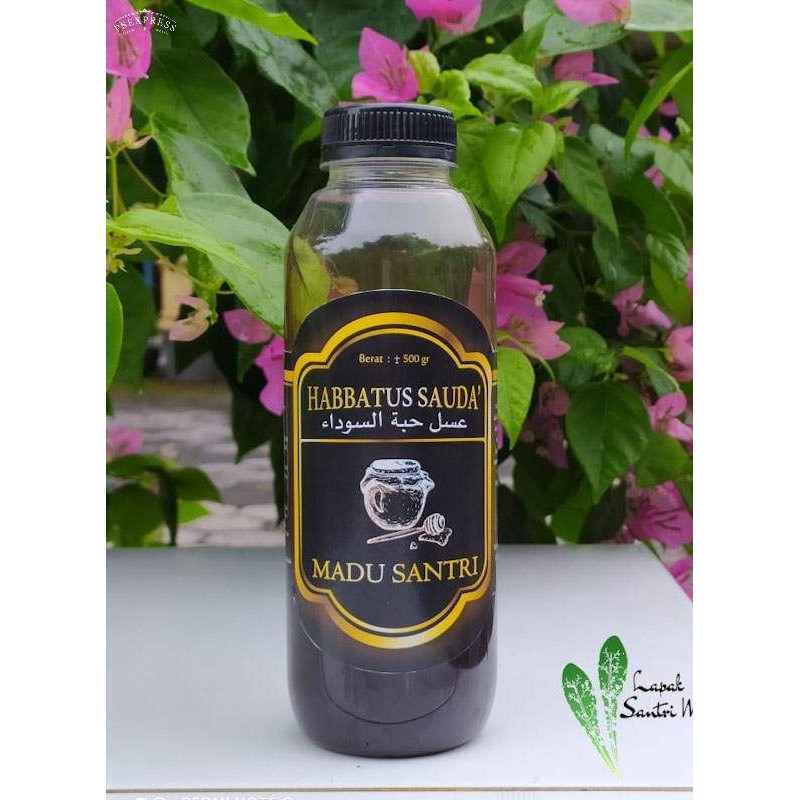 Madu Habbatussauda /Madu Mesir Santri 500gr ori 100%