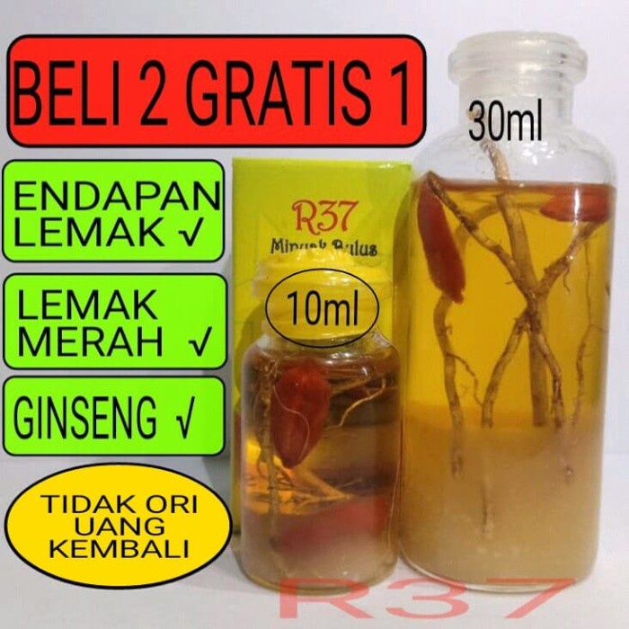 Terlaris MINYAK BULUS GINSENG MERAH PAPUA R37 10ml ORI ASLI ORIGINAL