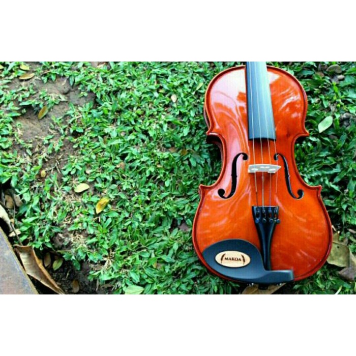 

Biola Akustik Full Set Hardcase 4/4
