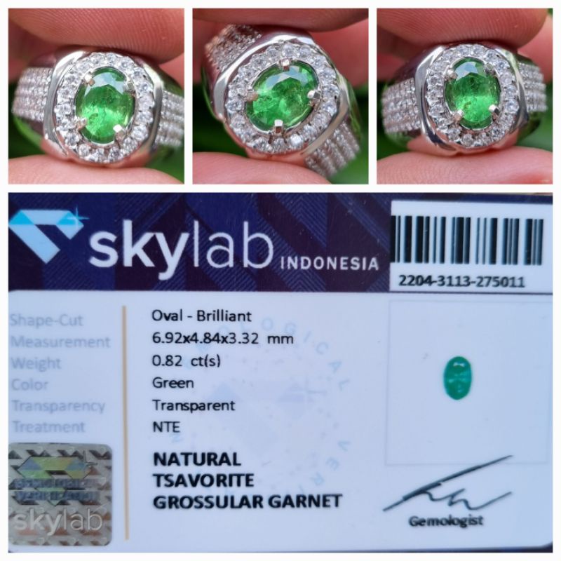 Natural Green Tsavorite Garnet Memo 0.82 crt