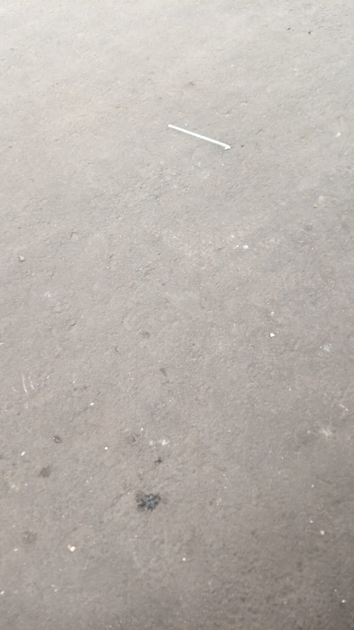 Gelas Oval U 14oz Cup Oval U 14oz Gelas Plastik Bulat Tebal Bisa Di Seal