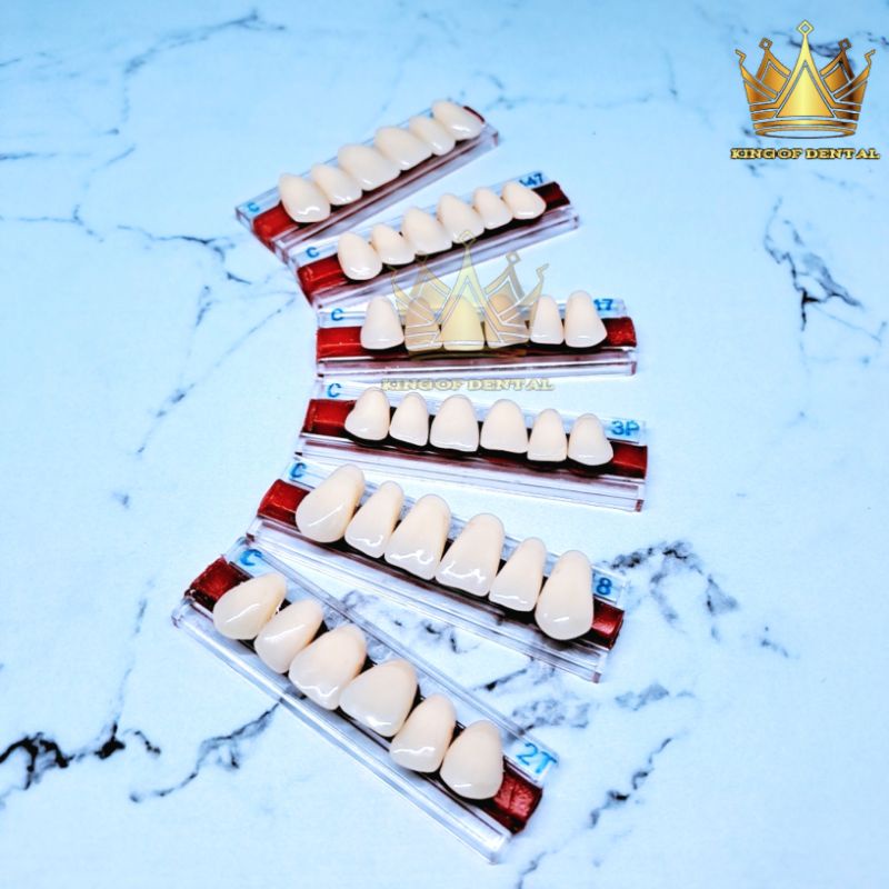 Italdent Gigi palsu Depan atas Warna C anterior Upper