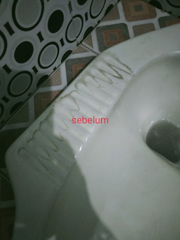 Exclean Pembersih Kerak Keramik Porselen Lantai Kloset Toilet Kamar Mandi