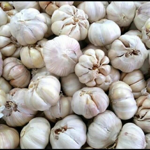

Bawang putih Honan