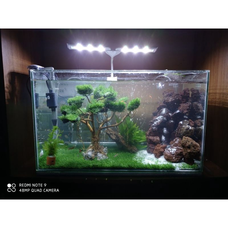 Rumput Sintetis Swiss Full hijau cocok untuk Aquarium