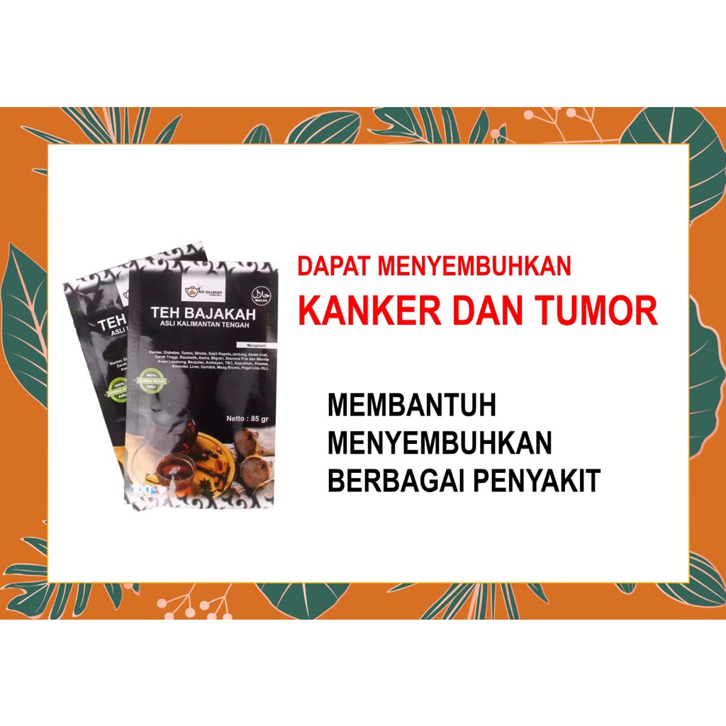 

TEH BAJAKAH ASLI KALIMANTAN AKAR BAJAKAH HERBAL KAYU BAJAKAH 100% ASLI OBAT KANKER