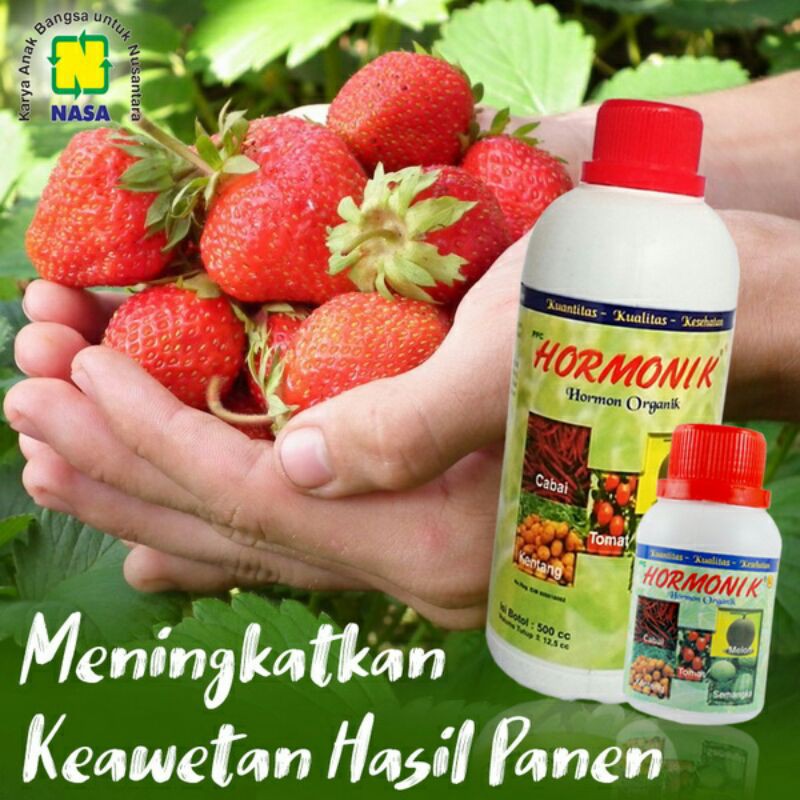 Hormonik Nasa pupuk organik perangsang buah