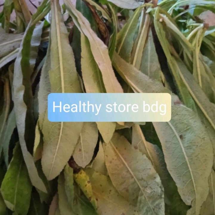 

Daun Tempuyung Segar petik langsung 1 kg