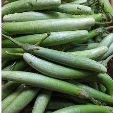 

Sayur Terong telunjuk Medan 1kg