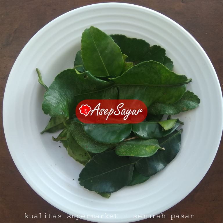

DAUN JERUK ASEPSAYUR Bandung