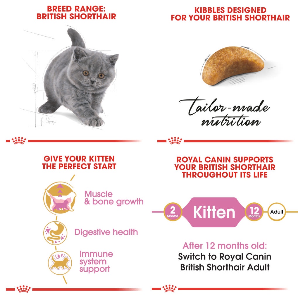 ROYAL CANIN British Shorthair Kitten Dry Cat Food 400gr  / Makanan Kucing