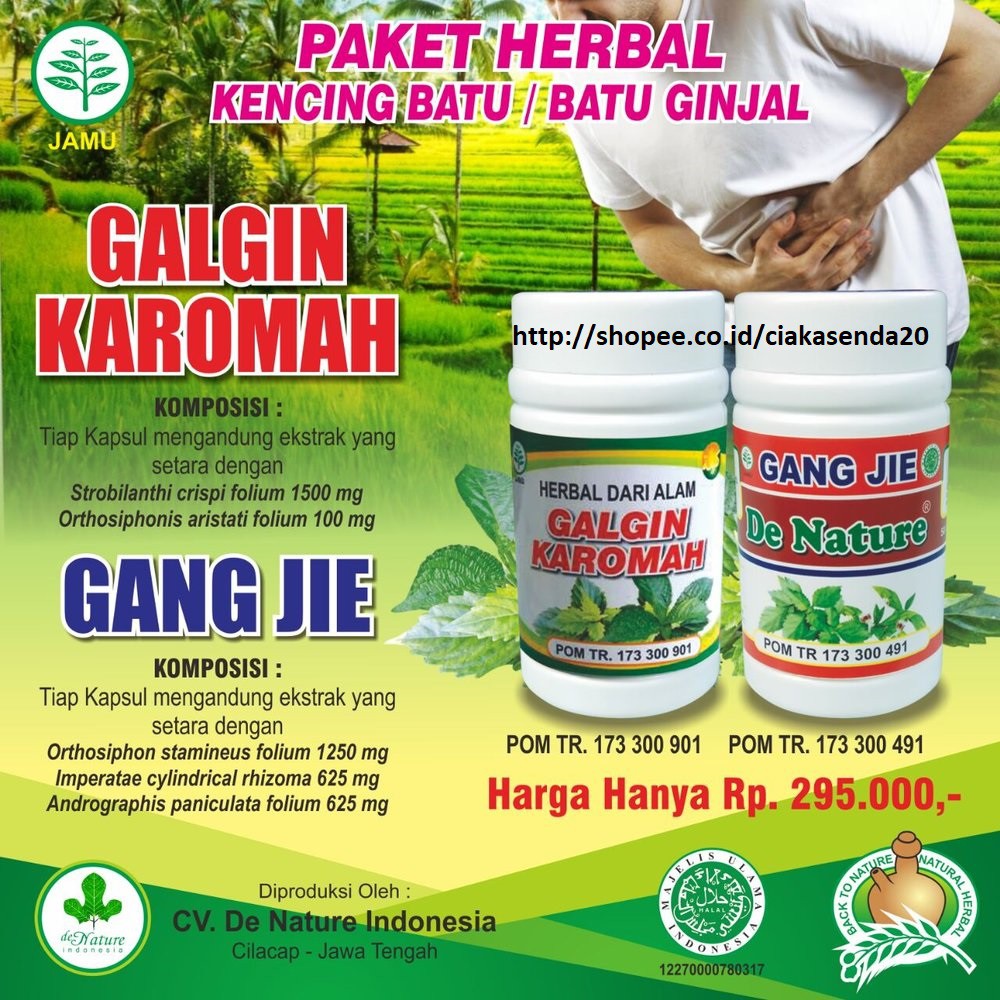 Galgin Karomah Gang Jie De Nature Asli Obat Kencing Batu Ampuh Herbal PT. De Nature Indonesia
