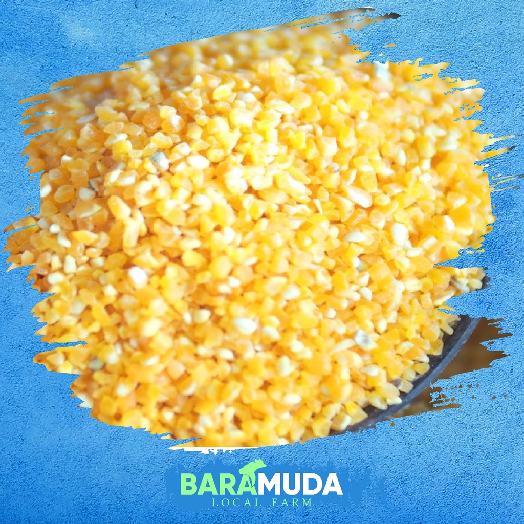 Beras Jagung | Pakan Ayam | Pakan Unggas