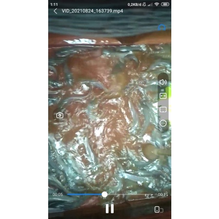 

ikan lele