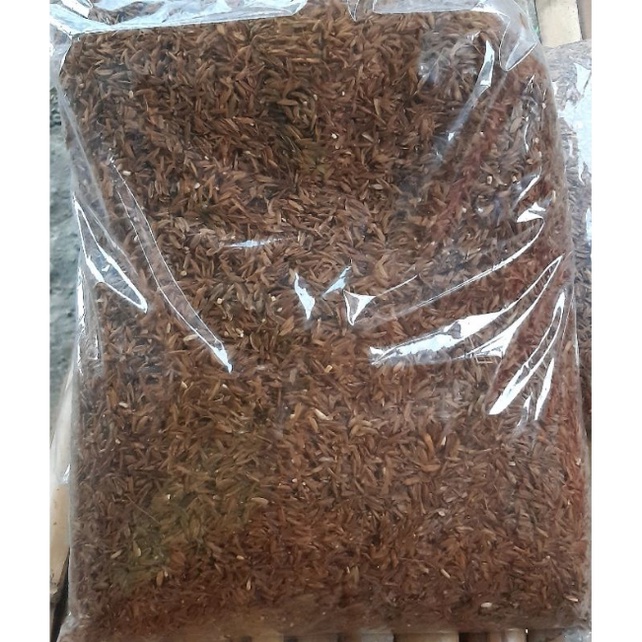 Media tanam sekam fermentasi sekam lapuk 1kg