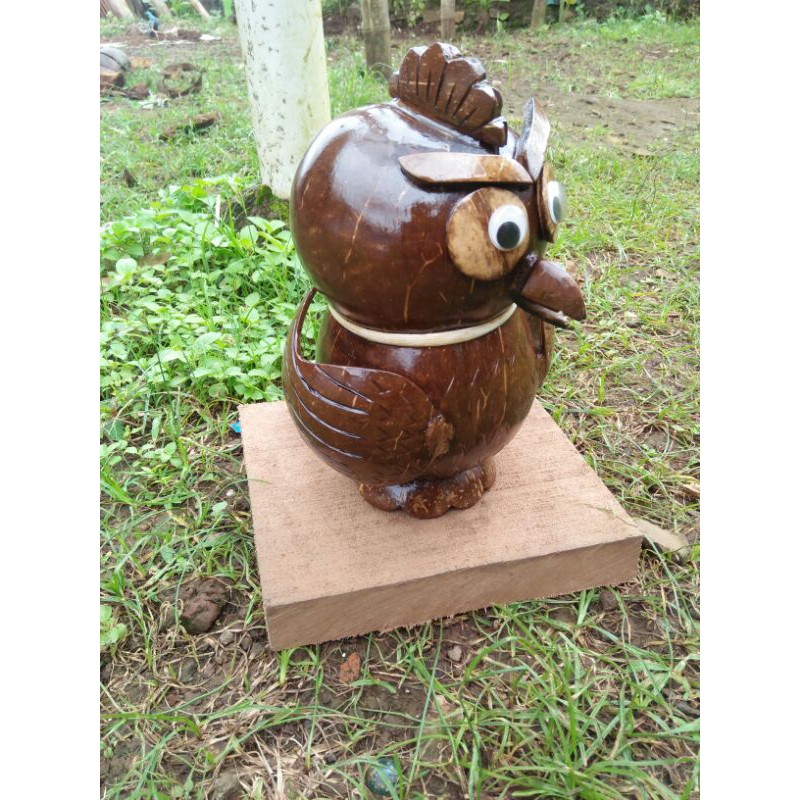 celengan unik batok kelapa/celengan karakter burung batok kelapa/celengan tempurung kelapa-4